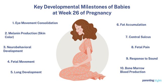 26 weeks pregnant milestones