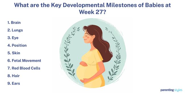 27 weeks pregnant milestones