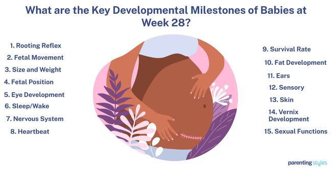 28 weeks pregnant milestones