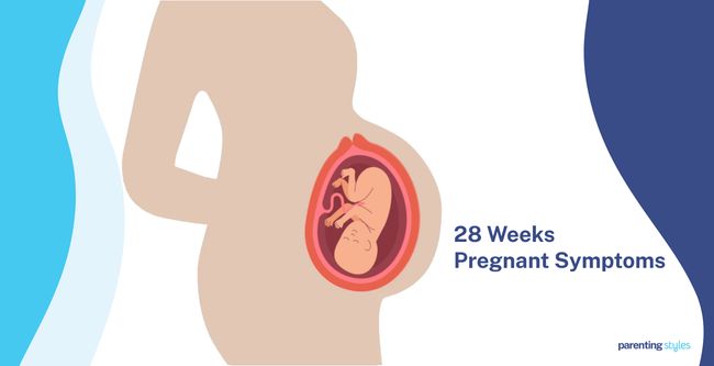 28 Weeks Pregnant Symptoms