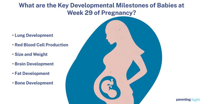 29 weeks milestones