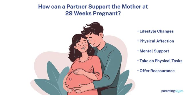 29 weeks pregnant partner support