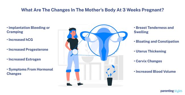 body at 3 week pregnant