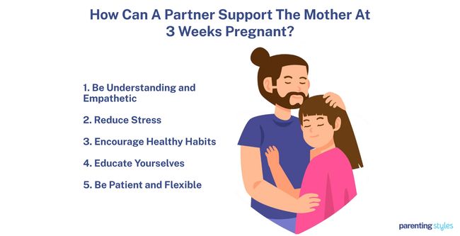 partner support at 3 week pregnancy