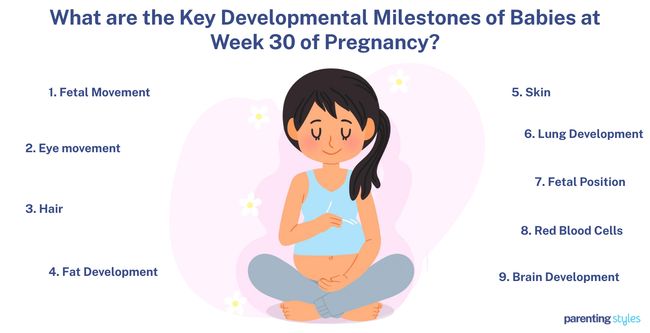 30 weeks milestones