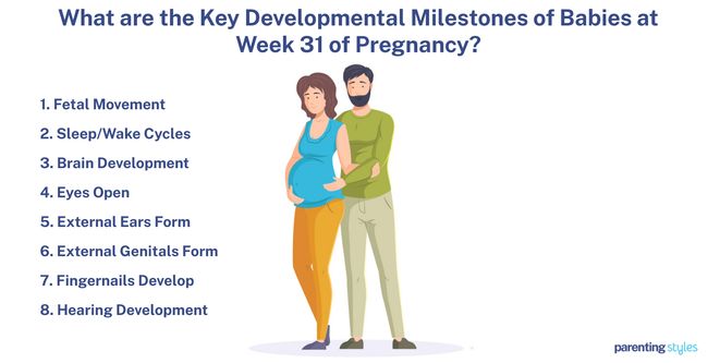 31 weeks milestones