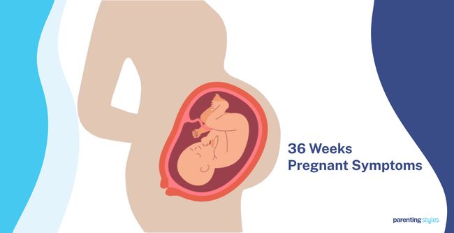 36 weeks pregnant symptoms