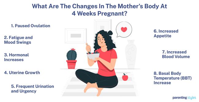 changes in 4 week pregnant mother's body