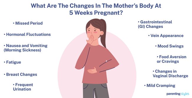 mother's body changes at 5 week Pregnancy