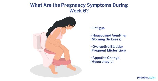 6 week pregnancy symptoms