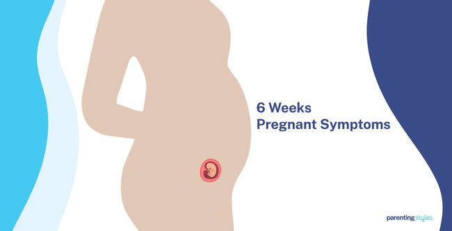 6 Weeks Pregnant Symptoms
