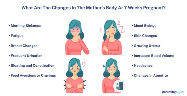 body at 7 weeks pregnant