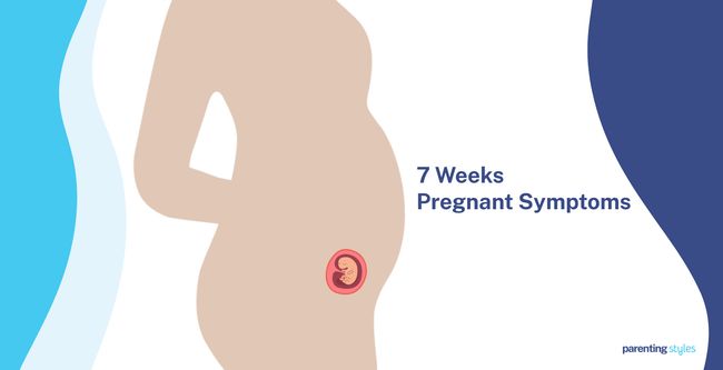 7 Weeks Pregnant Symptoms
