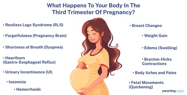 3rd Trimester Body Changes