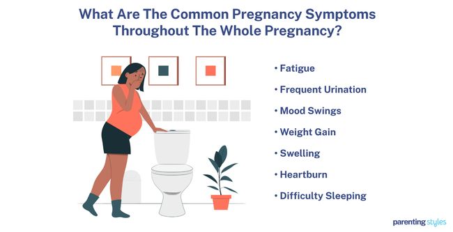 Common Symptoms whole pregnancy