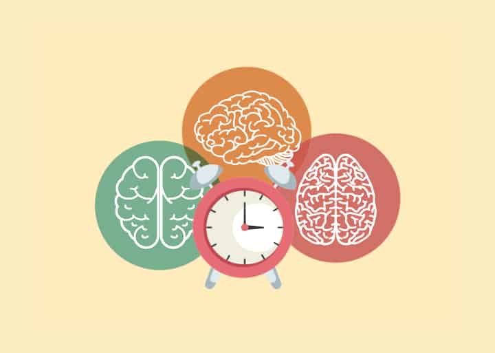 3 brains and an alarm clock in the middle - critical period hypothesis