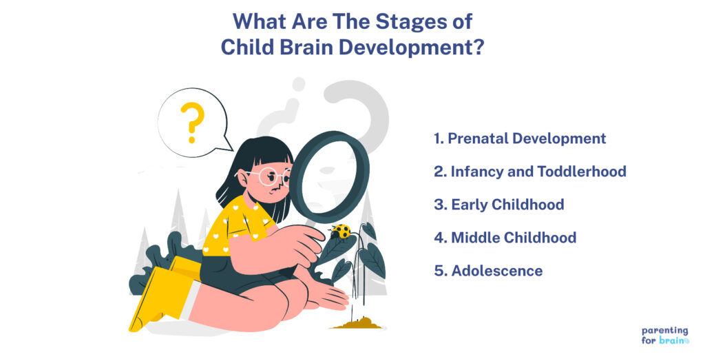 Intellectual development from infancy to adolescence discount