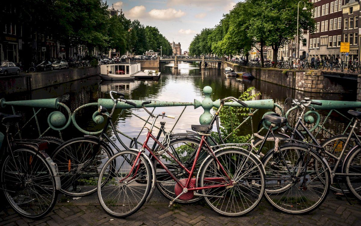Cosas que hacer en Ámsterdam con niños