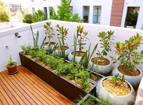 Rooftop dengan Mini Garden