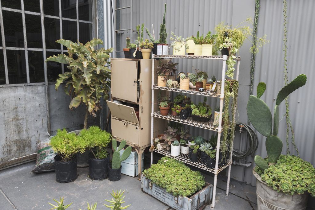 16 Desain Taman Vertikal Cantik & Mudah Dibuat- Pashouses