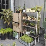 16 Inspirasi Desain Taman Vertikal Cantik & Mudah Dibuat