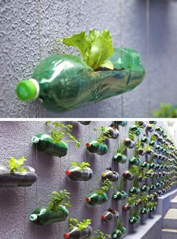 Vertical Garden Botol Bekas