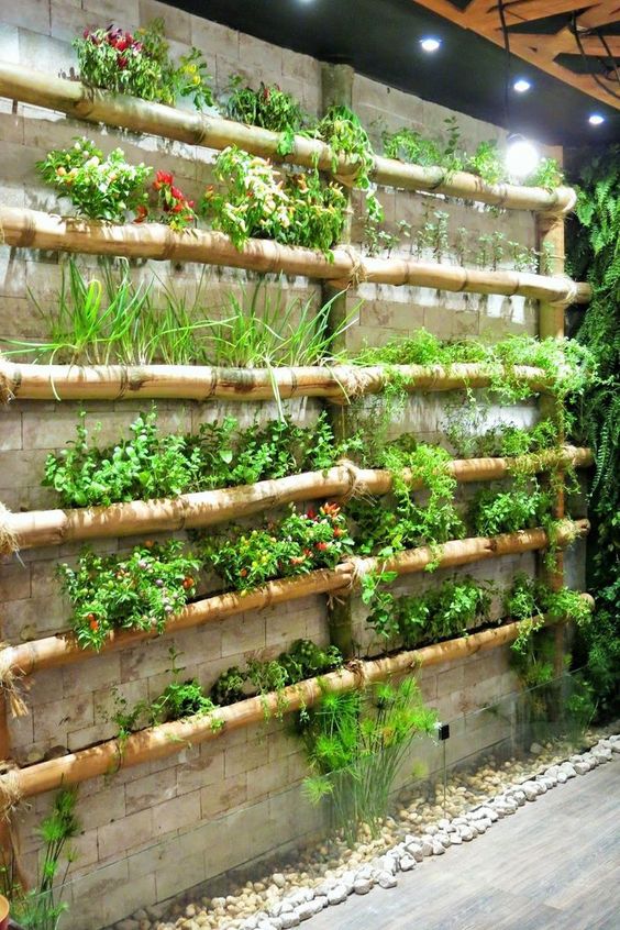 taman vertikal dengan bambu