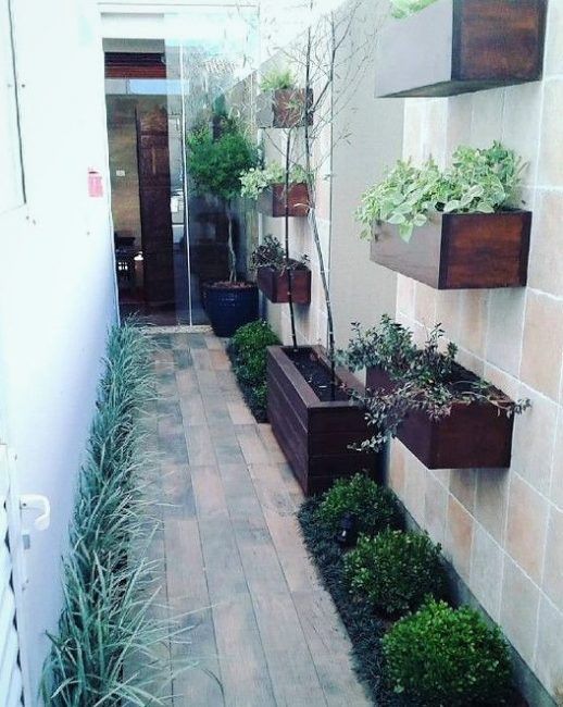 Vertical garden di samping rumah