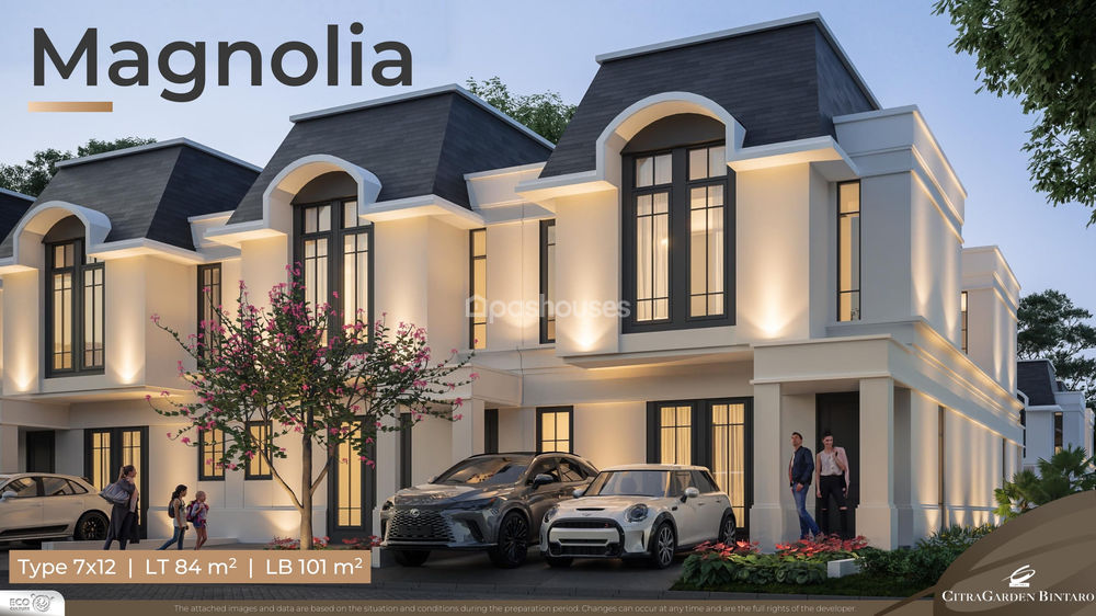 Magnolia