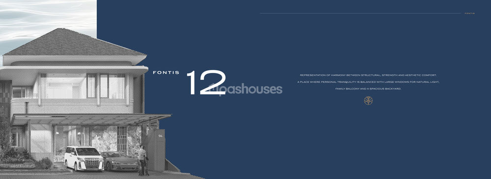Fontis 12
