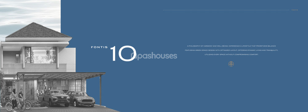 Fontis 10