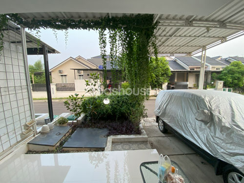 image thumbnail