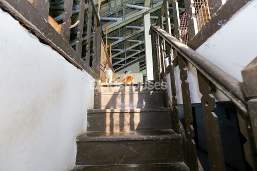 image thumbnail