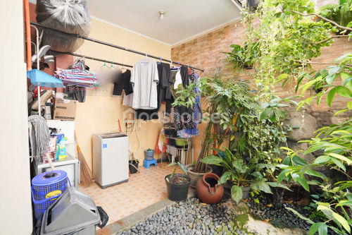 image thumbnail