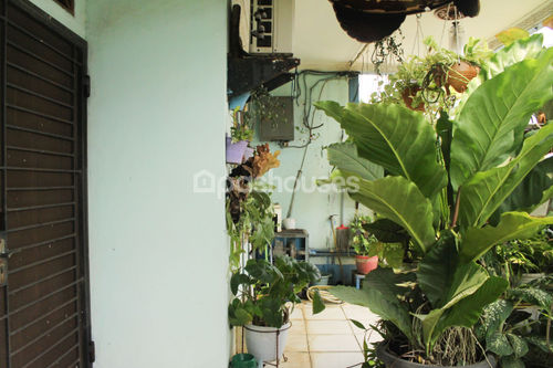 image thumbnail