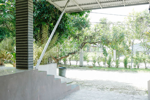 image thumbnail