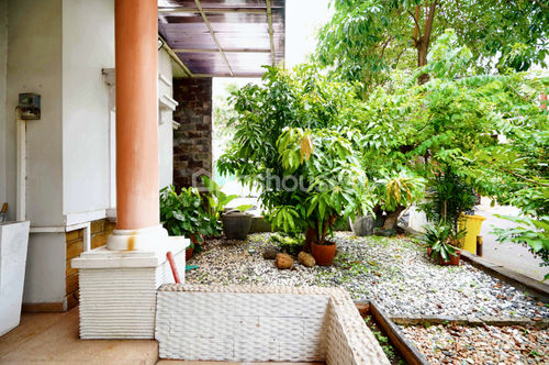 image thumbnail