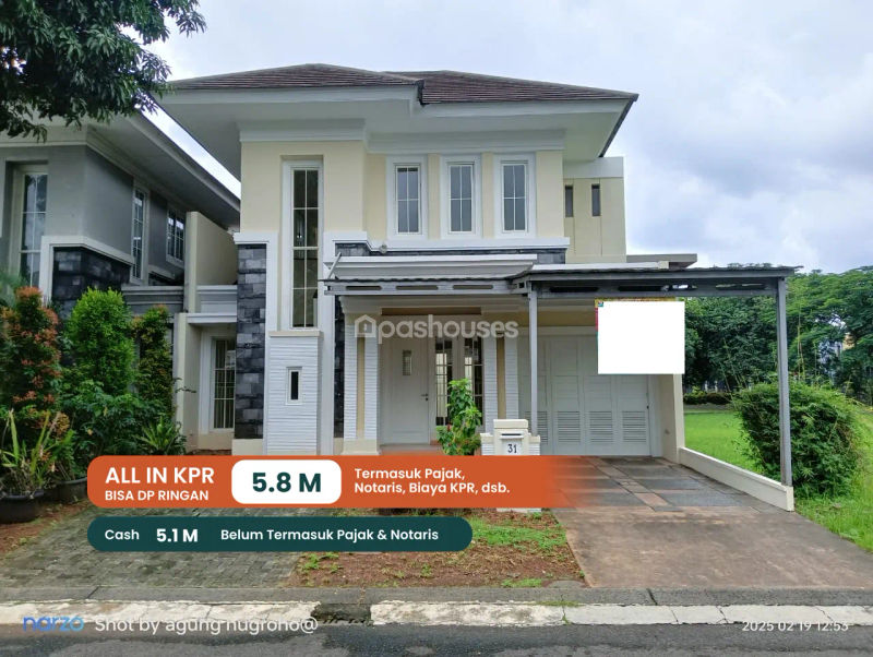 Cluster Sutera Olivia XII No.31