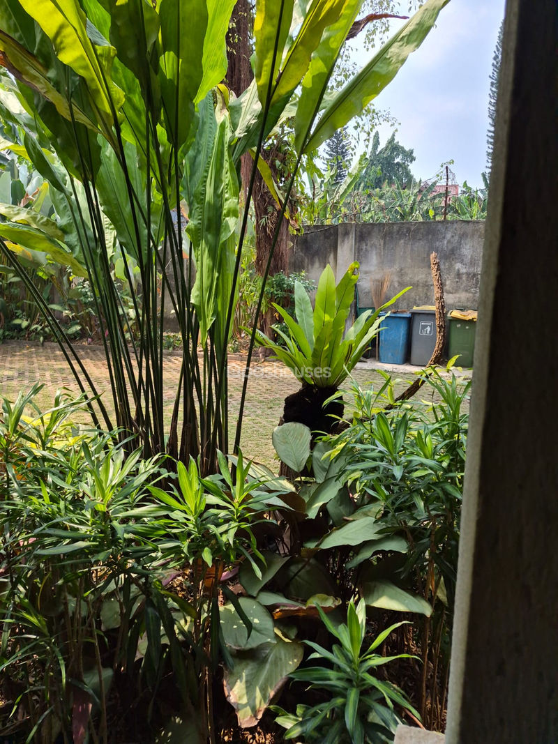 Jalan Conforti No.88 Pondok Aren
