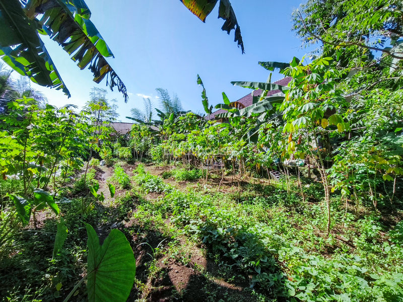 Jalan Kampung Pajeleran Cibinong