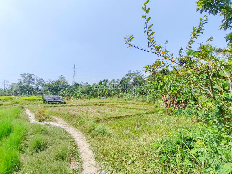 Jalan Kembang Kuning Bogor