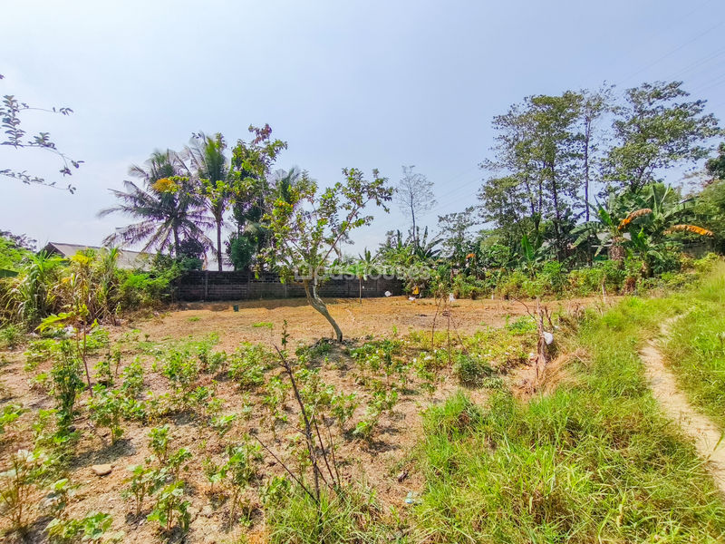 Jalan Kembang Kuning Bogor