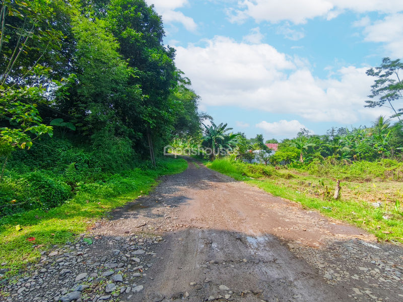 Jalan Cempaka Cihideung Ilir Bogor