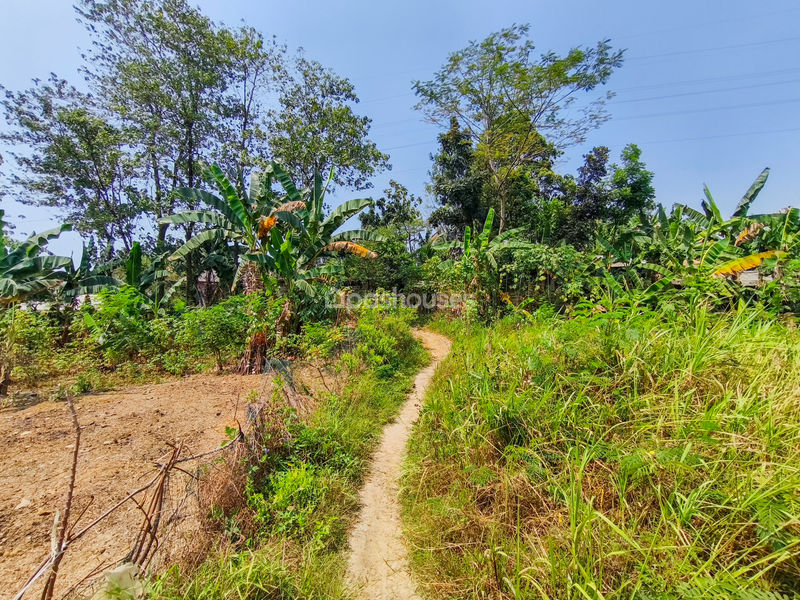 Jalan Kembang Kuning Bogor