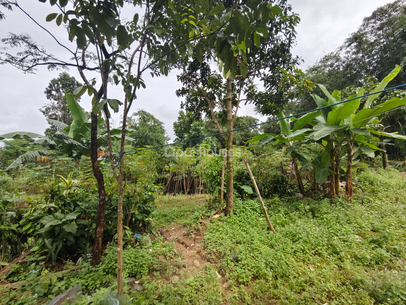 Jalan Raya Bojong Koneng
