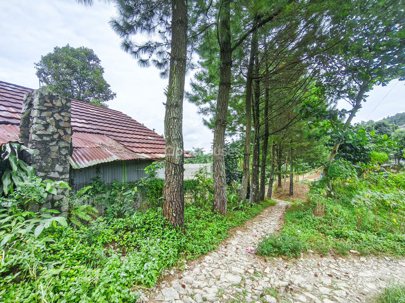 Jalan Raya Bojong Koneng