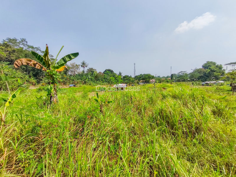 Jalan Kembang Kuning Bogor