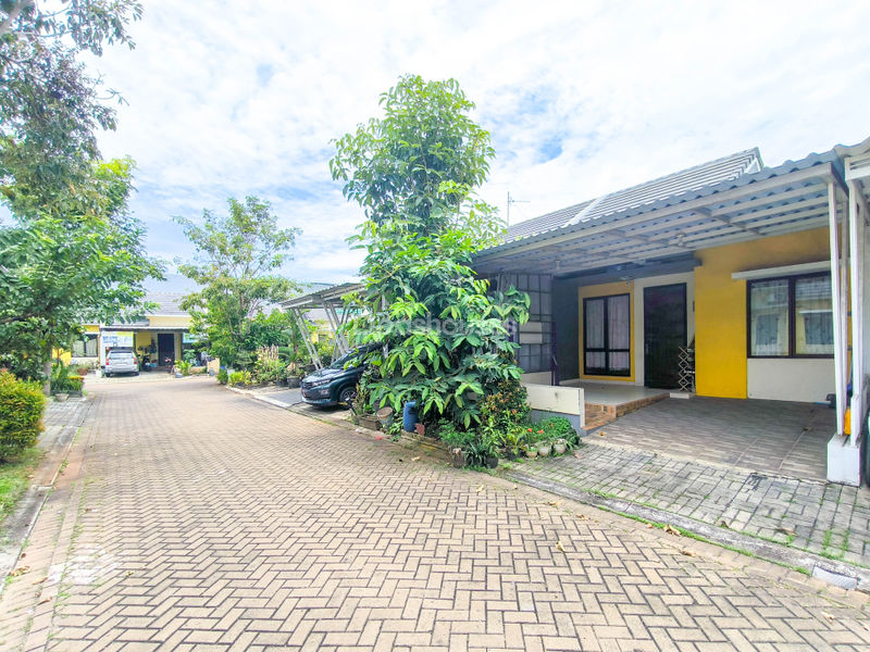 Grand Batavia Cluster Breeze