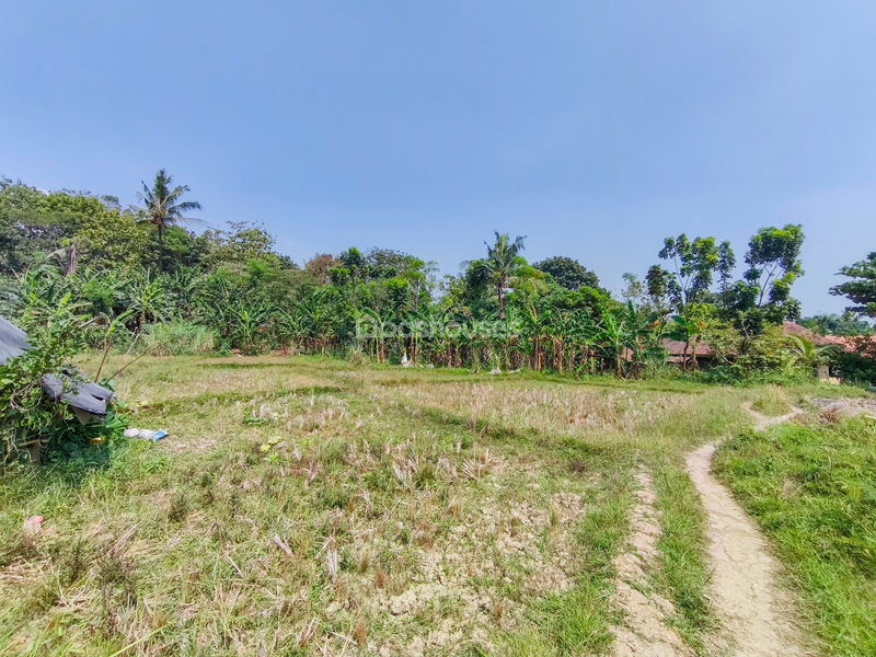 Jalan Kembang Kuning Bogor