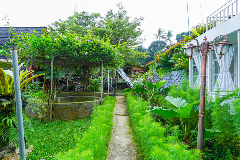 Villa Saung Ibu Bogor
